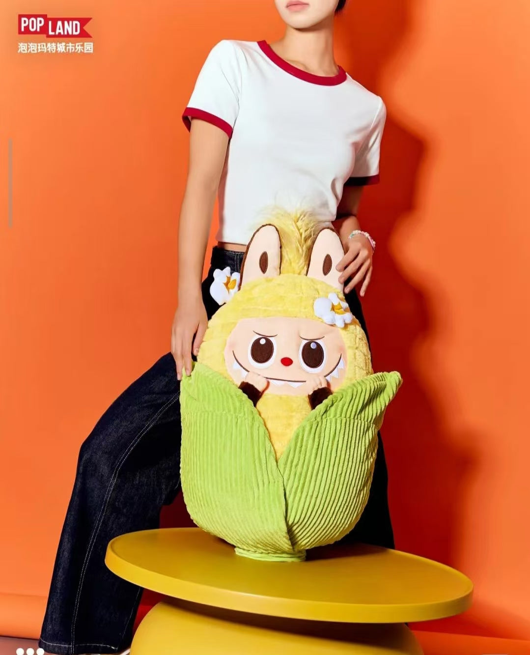 Big Pillow collection-Preorder